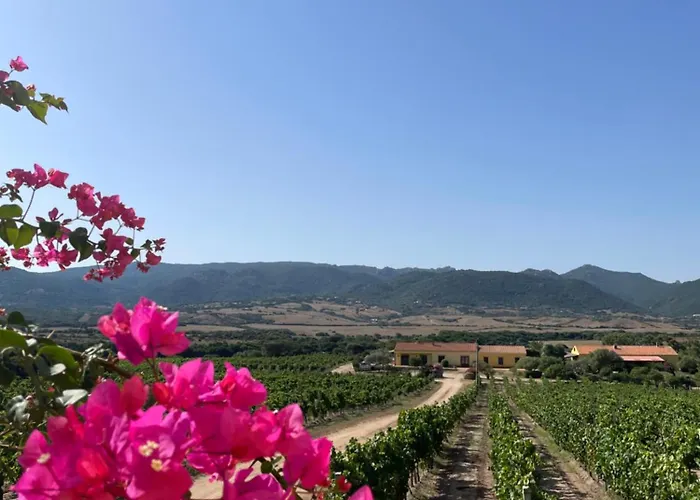 Agriturismo Campesi casale tra le vigne Aglientu